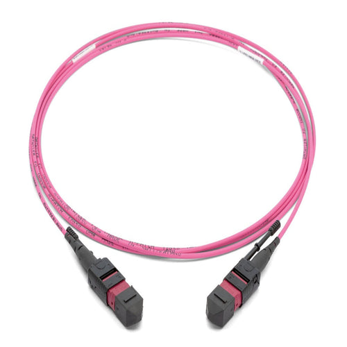 Cordon de brassage MTP/PC OM4 multimode fibre optique magenta LSZH 50/125 MTP patch cord haute vitesse datacenter