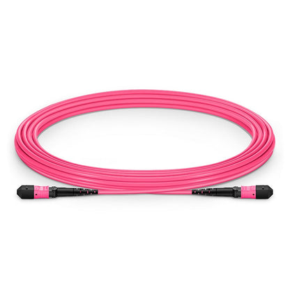 Câble de brassage fibre optique MTP-12 femelle à femelle OM4 multimode magenta LSZH 50/125 elite 12 fibres cordon MTP pour connectivité haute densité en centre de données